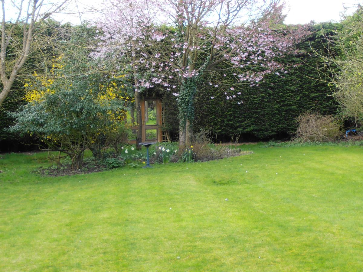 Castle View Rooms Castle Hedingham Exterior foto